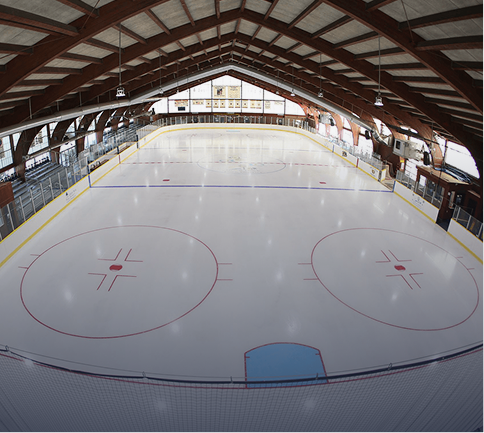 Sports Venue Facility