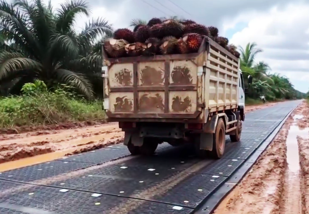 Skyguards Amphi Mats | Ground Protection Mats for Indonesia Palm Plantations