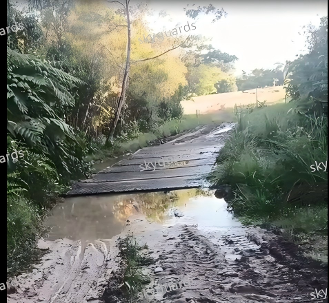 Skyguards Hollow Road Plates Excellent Application in Colombian Swamp Sites